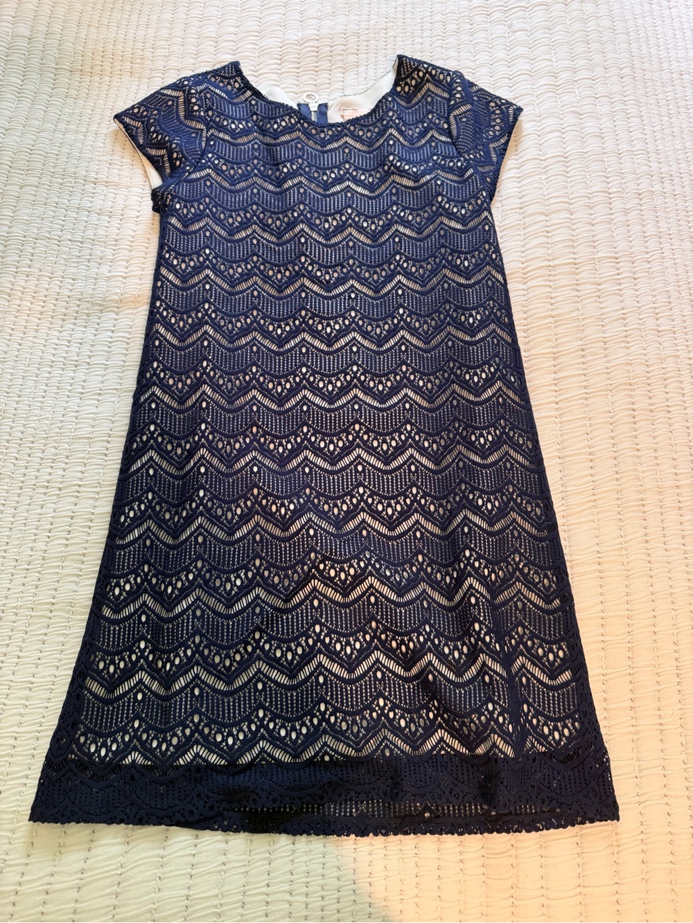 Sally Miller Navy Blue Lace Overlay A-Line Dress